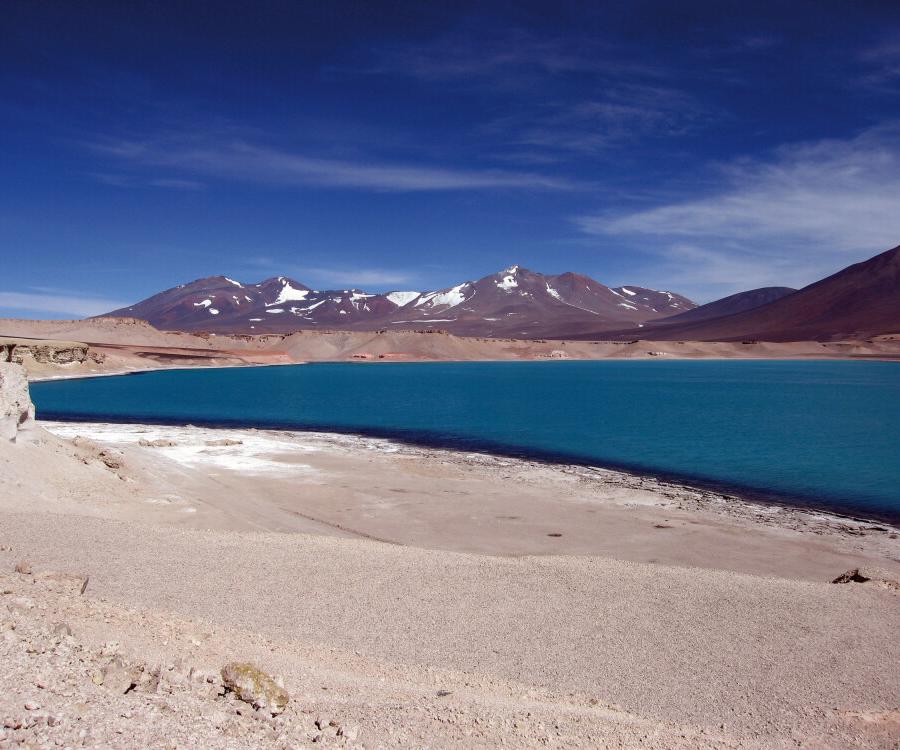 Reise in Chile, Die berühmten Lagunen des chilenischen Altiplano.