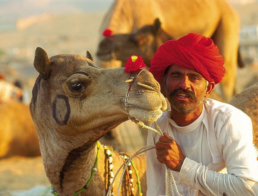Reise in Indien, Rajasthan