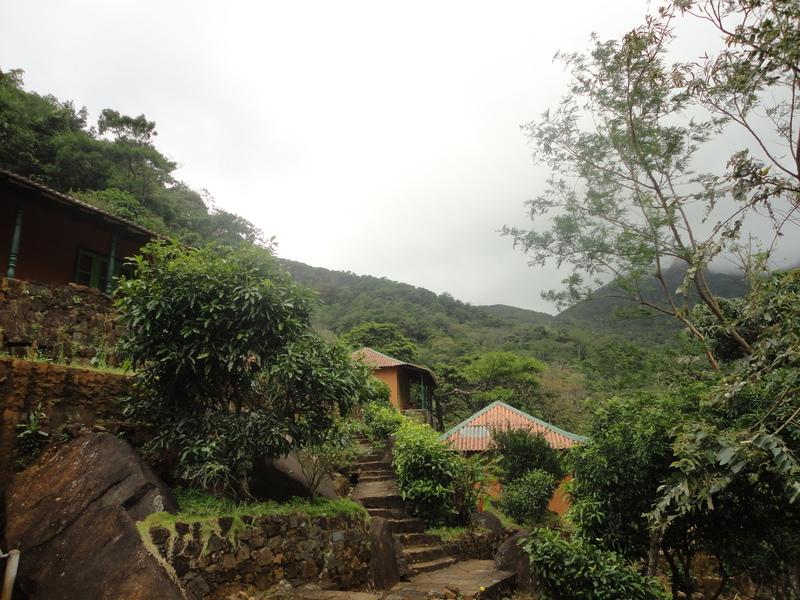 Reise in Sri Lanka, Sri Lanka: Im Einklang mit der Natur