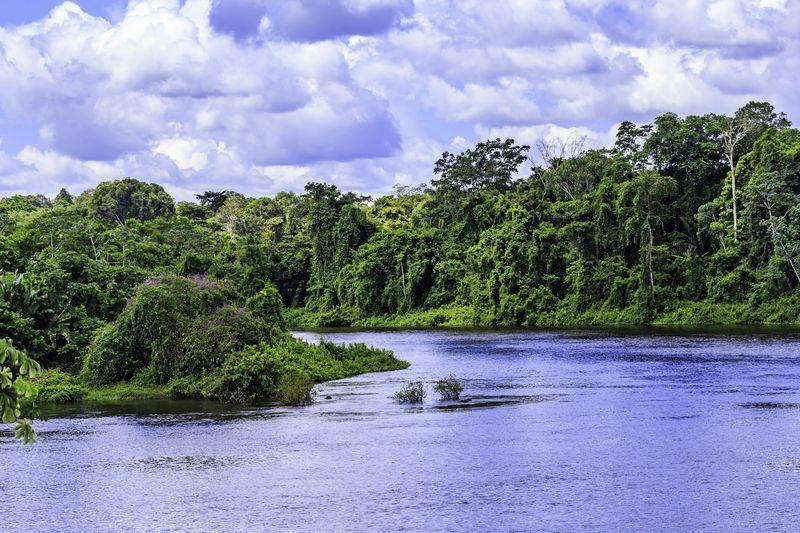 Reise in Suriname, Suriname - Faszination Regenwald