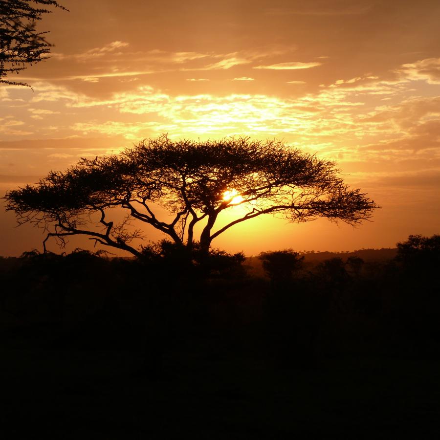 Reise in Tansania, Tansania for family