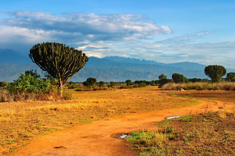 Reise in Uganda, Weg zum Queen Elizabeth-Nationalpark in Uganda