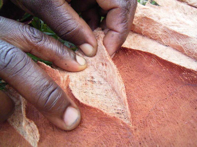 Reise in Uganda, Stoff aus Baumrinde, ein innovatives Projekt in Uganda