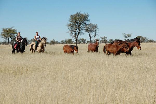 Reise in Namibia, Verlängerung auf der Wildnisfarm Kuzikus