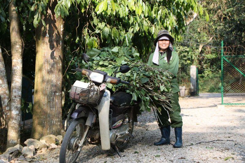 Reise in Vietnam, Vietnam - Primate Rescue Center