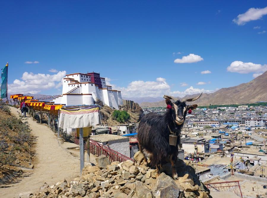 Reise in Nepal, Von Shanghai über Lhasa nach Kathmandu Kultur- und Naturrundreise