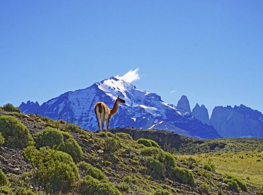 Reise in Argentinien, Nationalpark Torres del Paine