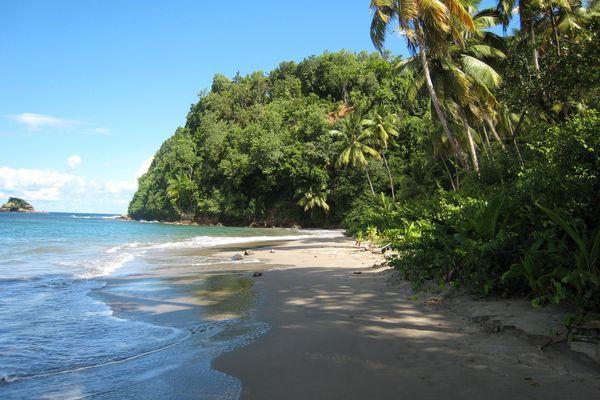 Reise in Dominica, Zu Fuß durch Guadeloupe, Dominica und Martinique