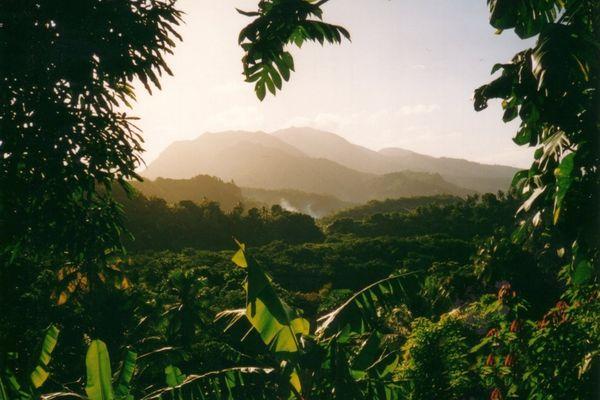 Reise in Dominica, Zu Fuß durch Guadeloupe, Dominica und Martinique